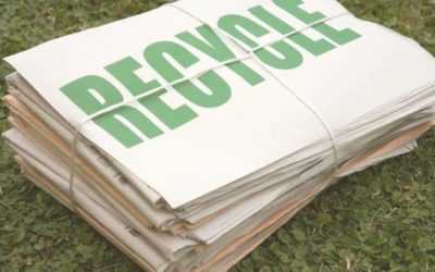How Paper is Recycled: Step-by-Step Process (and Benefits Too)