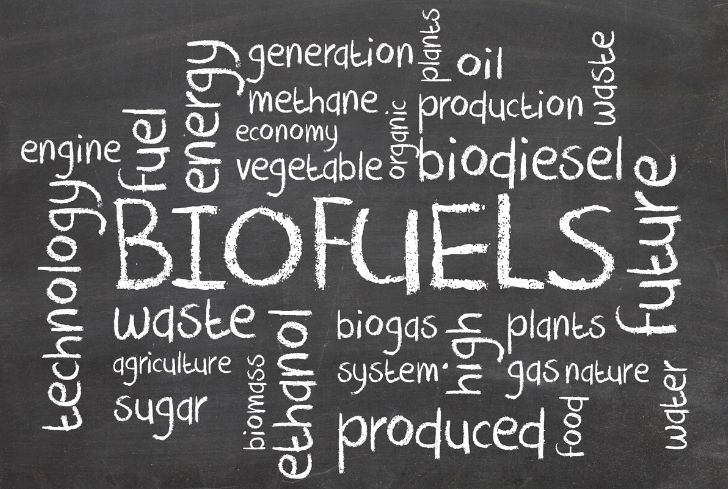 biofuels-methane-biodiesel-biogas-waste
