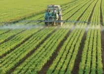 How Chemical Fertilizers Cause Water Pollution?
