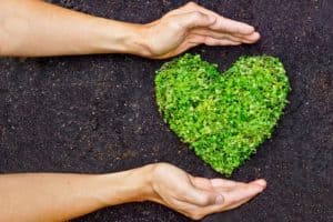 photo-hands-holding-green-heart-shaped