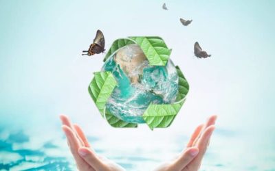 Importance of Recycling and Why Should We Recycle