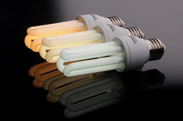 fluorescent bulbs 