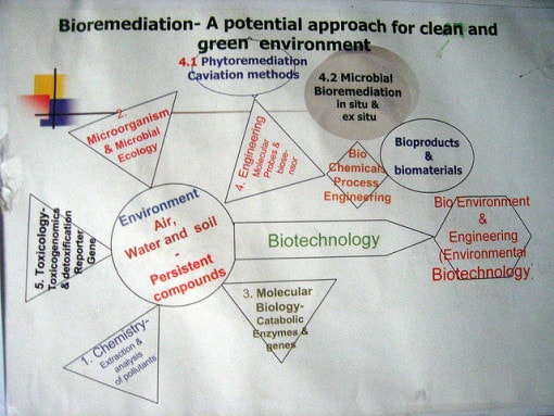 Bioremediation-poster