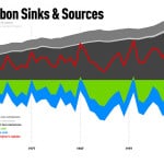carbon-sink-sources