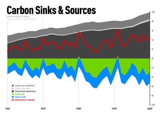 carbon-sink-sources