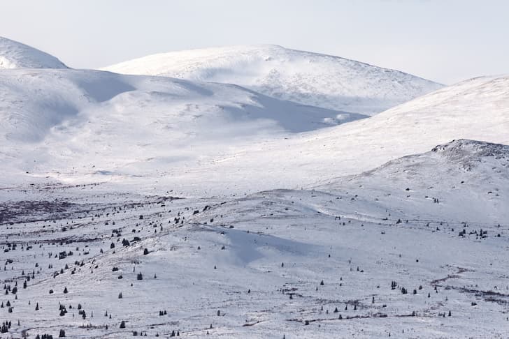 photo-alpine-tundra-in-winter