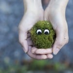 moss-ecology-environment-protection