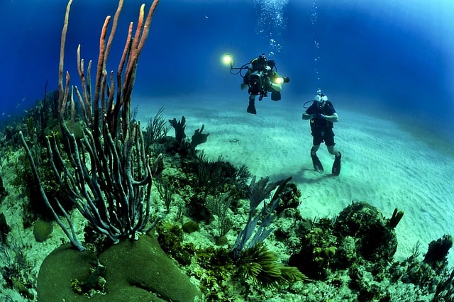 divers-scuba-reef-underwater-sea-coral-reef