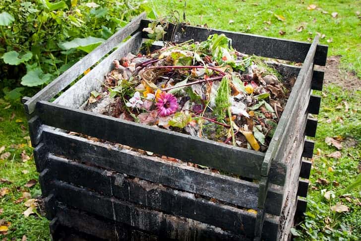photo-compost-bin-heap