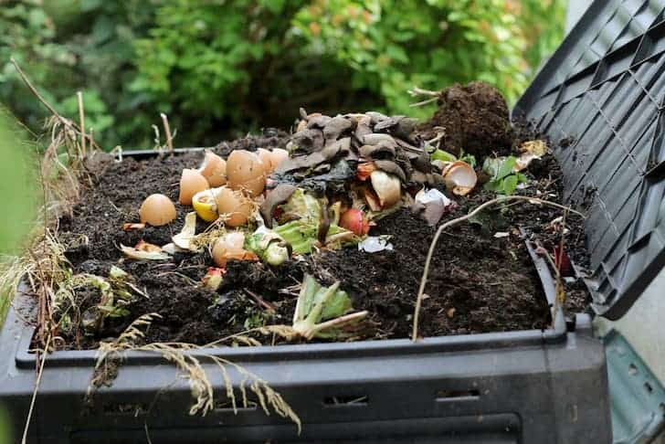 photo-vegetable-peelings-for-compost