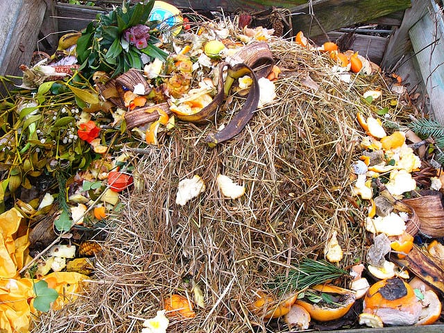 composting-in-the-garden