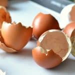 egg-shells-hatched-chicks-open