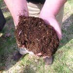 great-compost-in-hand