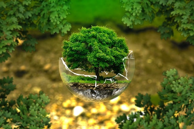 environmental-protection-earth-friendly
