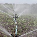 irrigation-agriculture-sprinkling