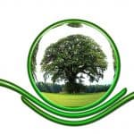 protect-ecology-protection-tree