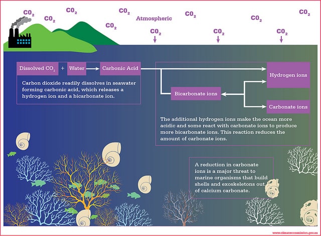 ocean-acidification-graphic