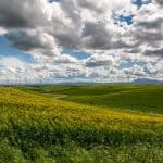 wind-farm-wind-turbine-electricity