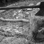 axe-blade-block-carpentry-cut-deforestation
