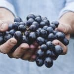 grapes-bunch-fruit-person-holding-organic-food