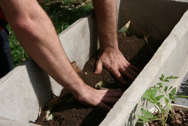 Permaculture in a pot