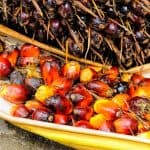 palm-oil-fruit-background-ripe
