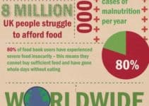 The Cost of Wasted Food [Infographic]