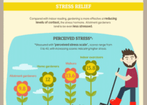 Why Gardening is Good For Your Health [Infographic]