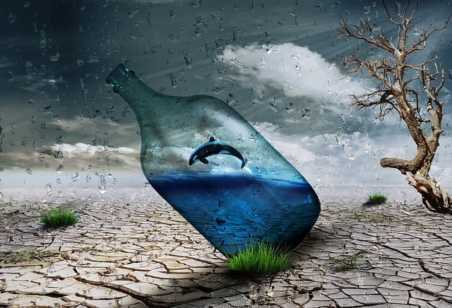 desert-bottle-dolphin-wind-art
