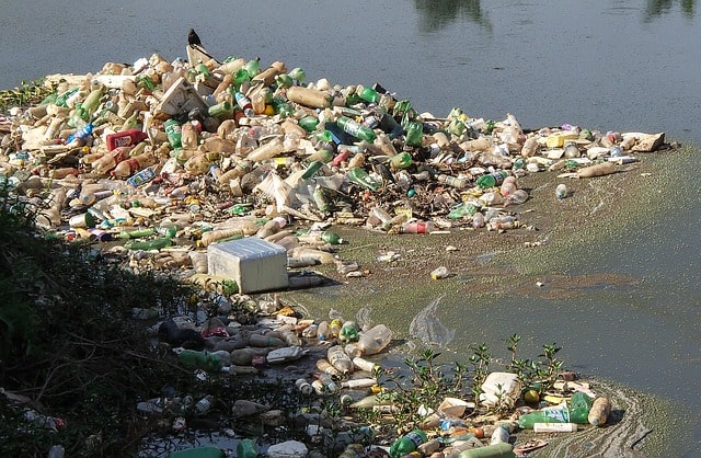 trash-river-pines-rubble-pollution