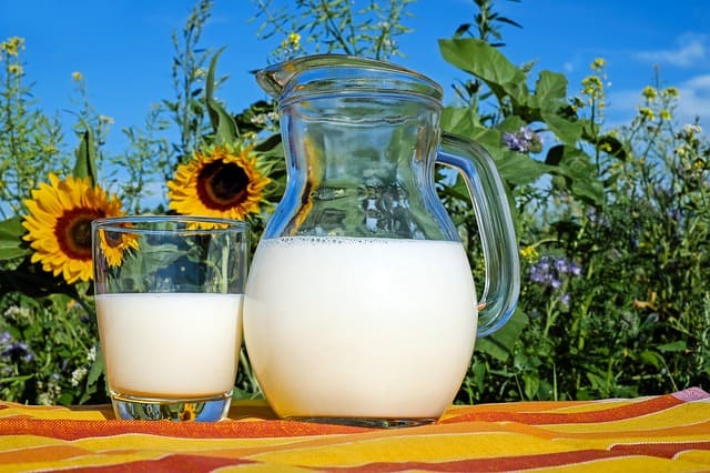 milk-glass-fresh-healthy-drink