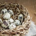 basket-quail-eggs