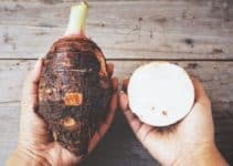 13 Magical Benefits of Eating Taro Root on Your Health and Body