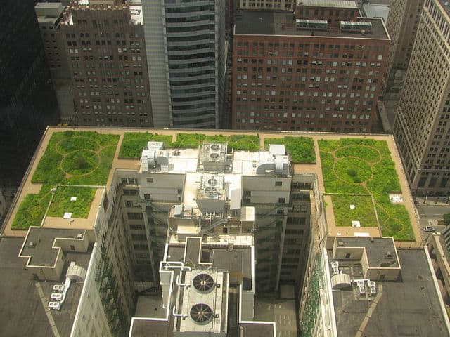 Chicago_City_Hall_Green_Roof