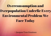 125 Great Quotes About Overpopulation and Population Growth