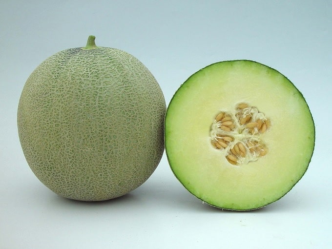 SkyRocket Melon