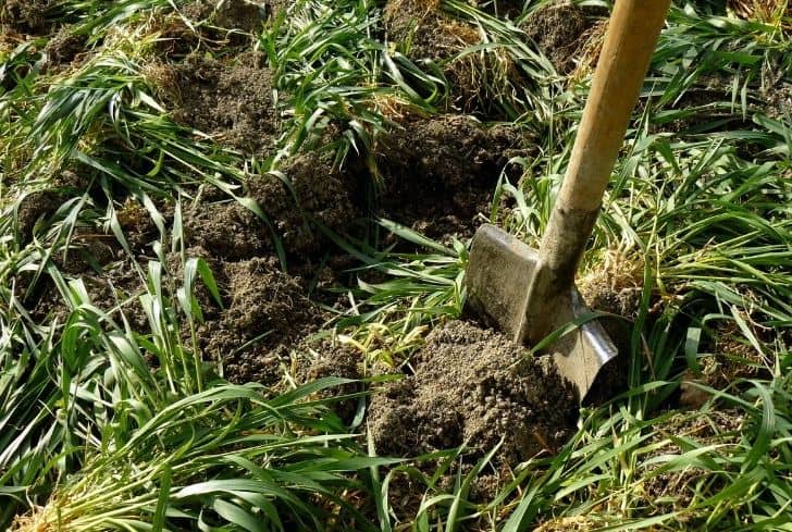 mixing-manure-soil-fertilizer