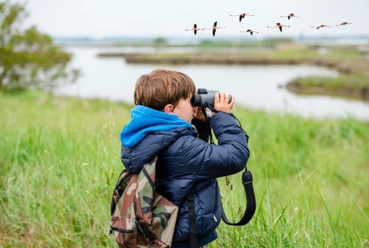 child-watch-birds-through-lens