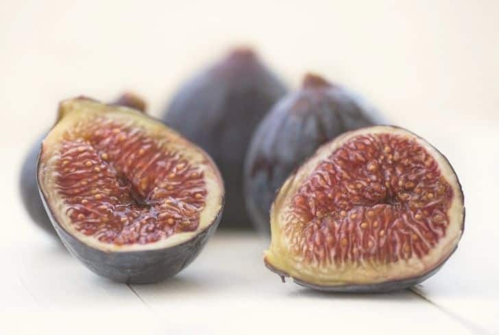 Purple Genca Fig