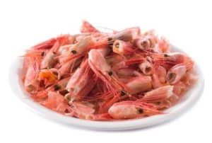 shrimp-shells