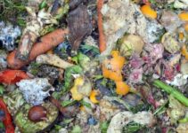 Can Compost Catch Fire? (And How To Prevent Overheating?)