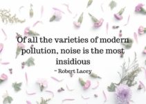 40+ Amazing Noise Pollution Quotes