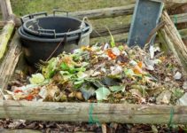 Should a Compost Pile Be in the Sun or the Shade?