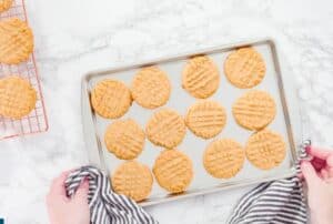 freshly-baked-cookies-on-baking-sheet