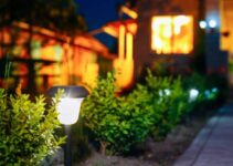 Can You Leave Solar Lights Out in the Rain?