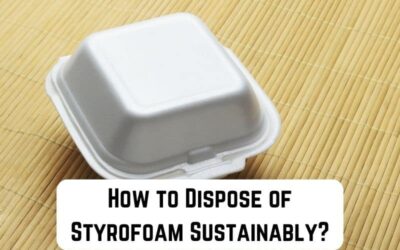 How to Dispose of Styrofoam Sustainably?