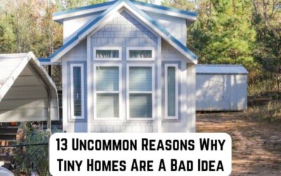 13 Uncommon Reasons Why Tiny Homes are a Bad Idea